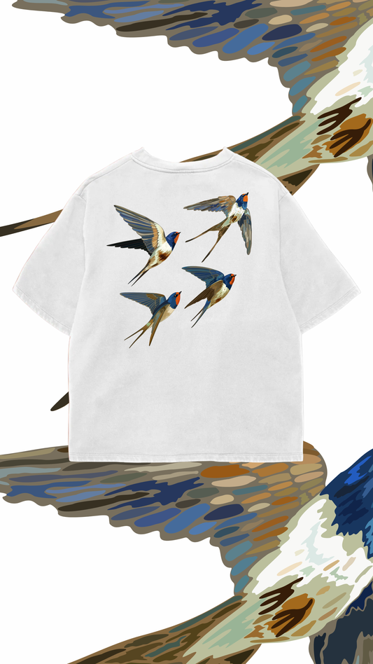 Montane Swallow